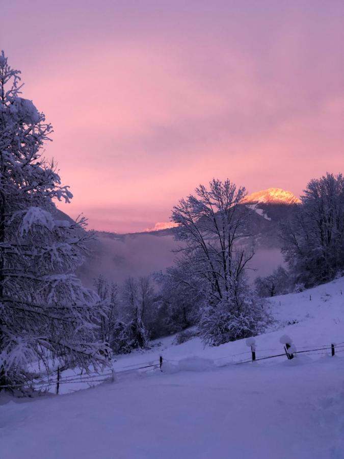 Chapamama Bed & Breakfast Aillon-le-Vieux Luaran gambar